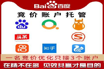 突破瓶颈：托管竞价SEM实战案例分析